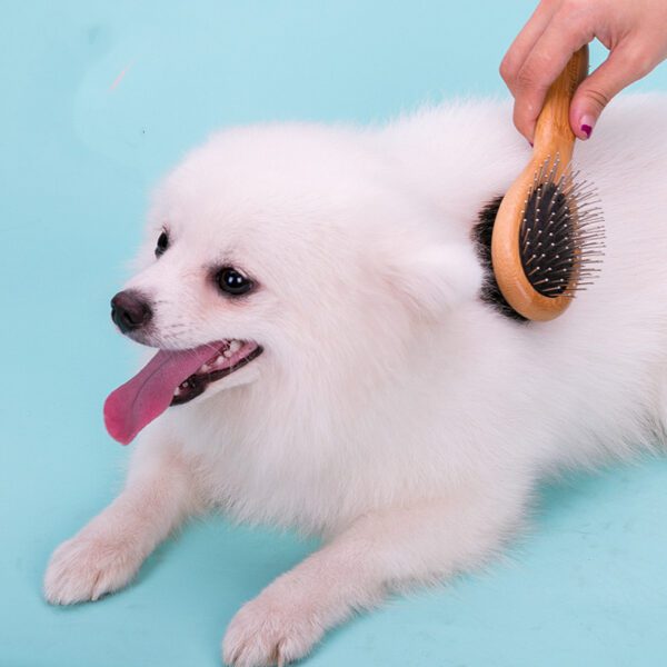 Double-Sided Dog Grooming Brush – Effective Shedding & Detangling