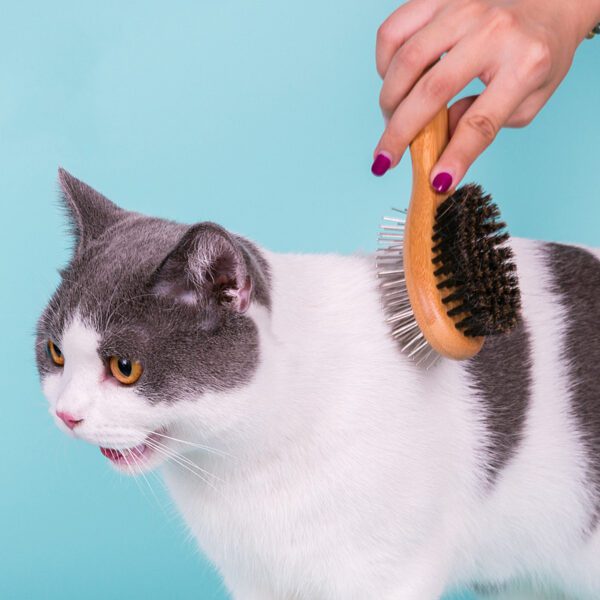 Double-Sided Dog Grooming Brush – Effective Shedding & Detangling