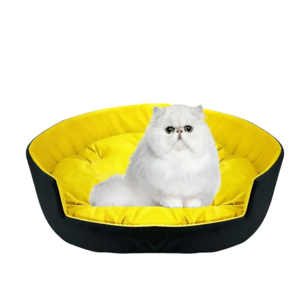 cat beds and mats