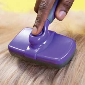 Self-Cleaning slicker brush for dogs and cats