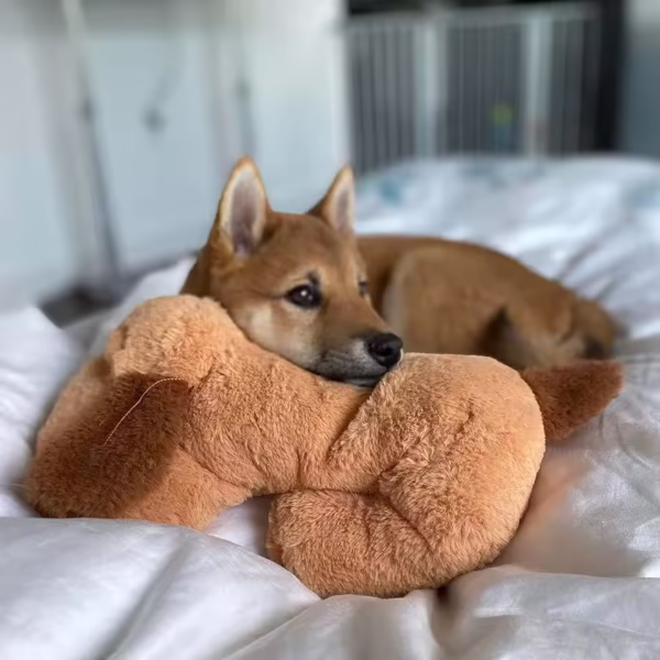 Snuggle Puppy Dog Toy – Heartbeat Plush for Anxiety Relief and Comfort - Image 6