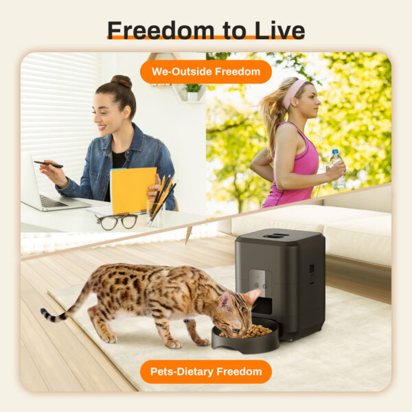 Smart Automatic Pet Feeder – Timed & Remote Feeding for Cats - Image 3