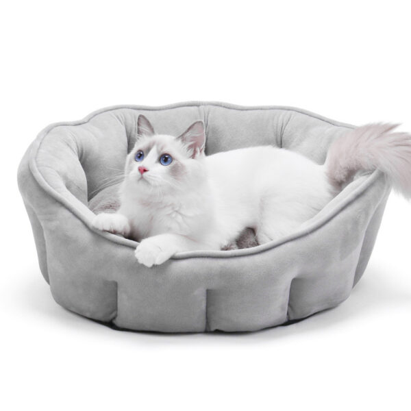 cat bed