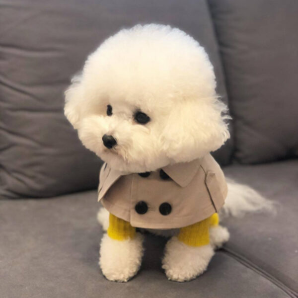 Dog T Shirt – Fashion British Style Cloak for Small Pets - Image 6