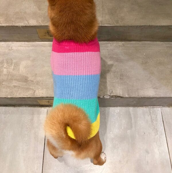 Puppies Rainbow Sweater – Cozy and Colorful Wool Sweater for Small Dogs - Image 2