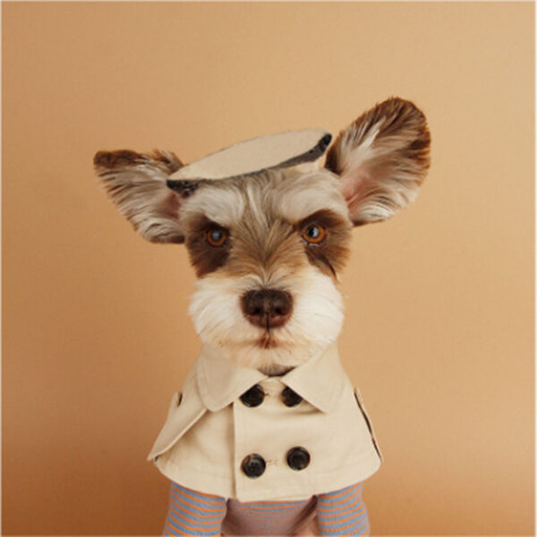 Dog T Shirt – Fashion British Style Cloak for Small Pets - Image 4