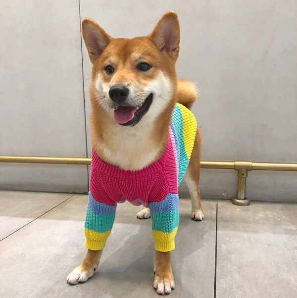 Puppies Rainbow Sweater – Cozy and Colorful Wool Sweater for Small Dogs - Image 7