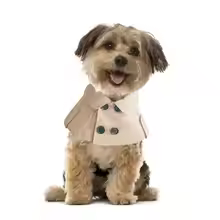 Dog T Shirt – Fashion British Style Cloak for Small Pets