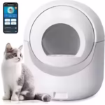 litter box