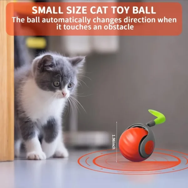 Interactive Cat Toy Ball with Feather – USB Rechargeable Smart Ball for Indoor Cats - Image 3