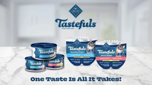Blue Buffalo Tastefuls Spoonless Wet Cat Food Paté – Chicken & Turkey - Image 2