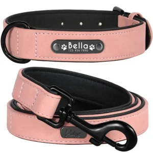 Personalized Dog Collar Leash Set – Built for Comfort & Safety!