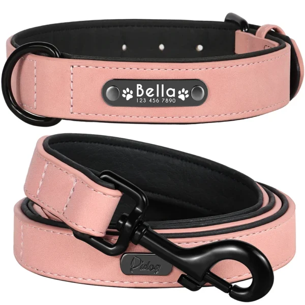 Personalized Dog Collar Leash Set – Built for Comfort & Safety!