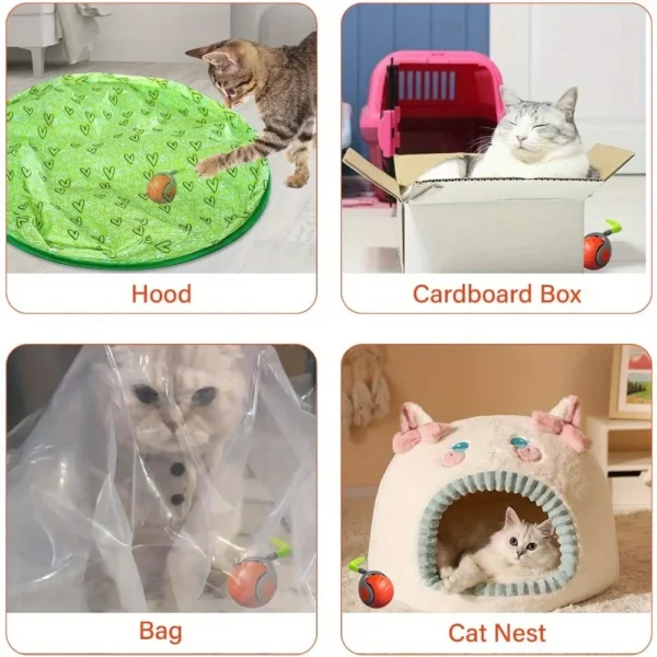Interactive Cat Toy Ball with Feather – USB Rechargeable Smart Ball for Indoor Cats - Image 11