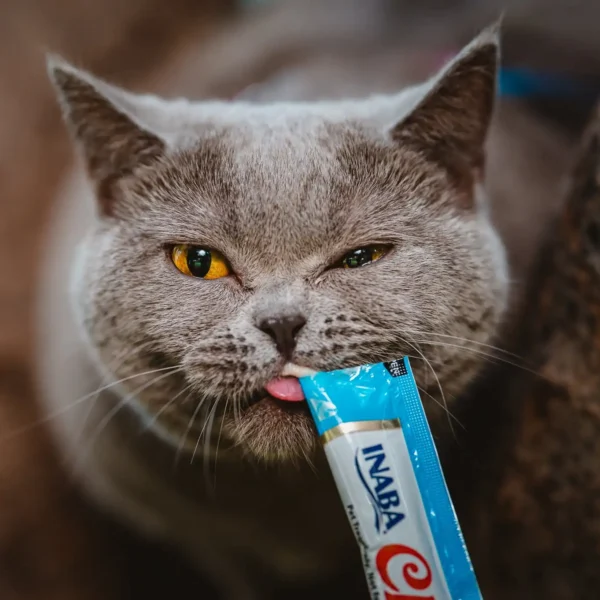 Best Cat Treats – Inaba Churu Purée, 20 Tubes Tuna & Chicken - Image 2