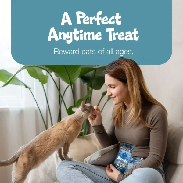 Best Cat Treats – Bursts Crunchy & Creamy Seafood, 12oz - Image 4
