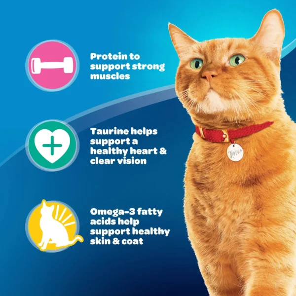 Daily Essentials Dry Cat Food – Chicken, Beef & Salmon Flavors - Image 5