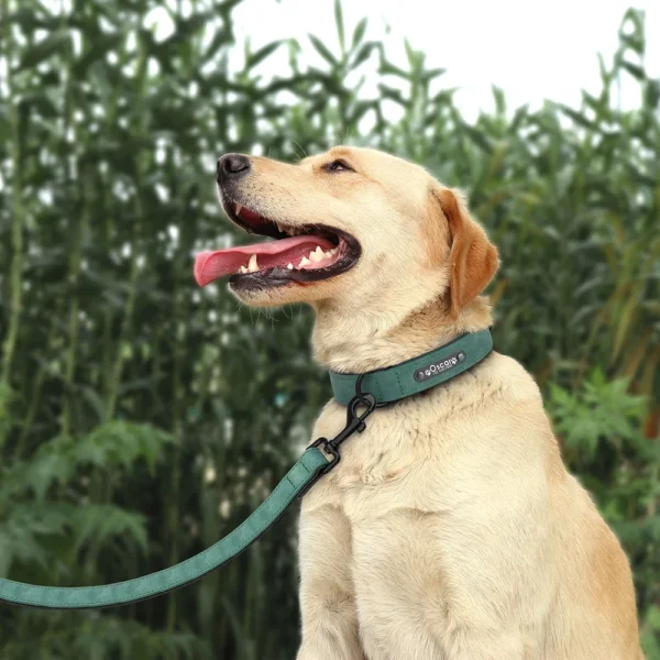 Personalized Dog Collar Leash Set – Built for Comfort & Safety! - Image 5