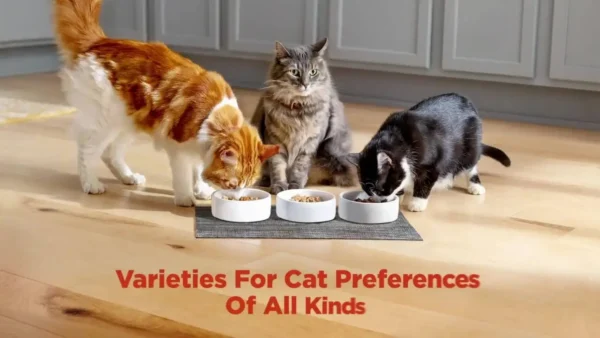 Meow Mix Tender Centers Soft Dry Cat Food – Salmon & Turkey Flavors - Image 2