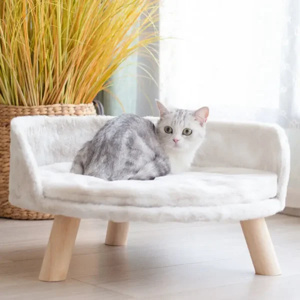 🐱 Couch for Cats – Soft Plush Sofa Bed with Cushion and Wooden Legs - Image 2