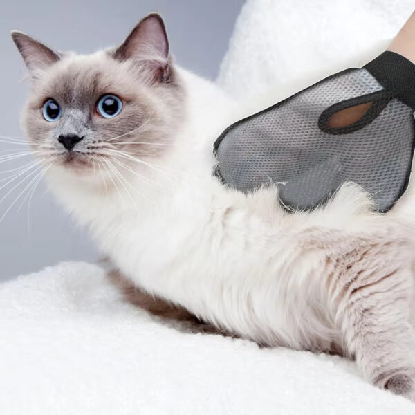 Best Grooming Gloves for Cats – Massage & Hair Removal Brush Mitt - Image 6