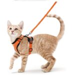 Cat Leash and Harness Set – Breathable, Reflective & Escape-Proof