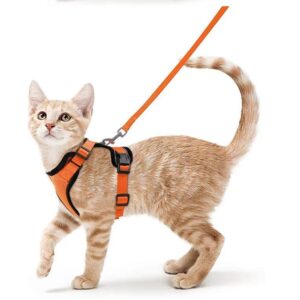 Cat Leash and Harness Set – Breathable, Reflective & Escape-Proof