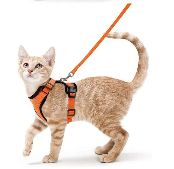 Cat Leash and Harness Set – Breathable, Reflective & Escape-Proof