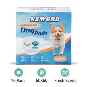 Dog Pee Pads – Super Absorbent & Leak-Proof (10pcs/Box)