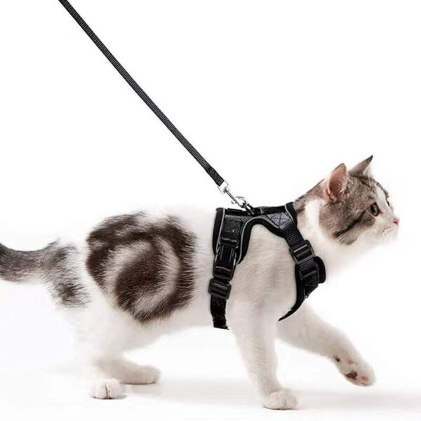 Cat Leash and Harness Set – Breathable, Reflective & Escape-Proof - Image 4