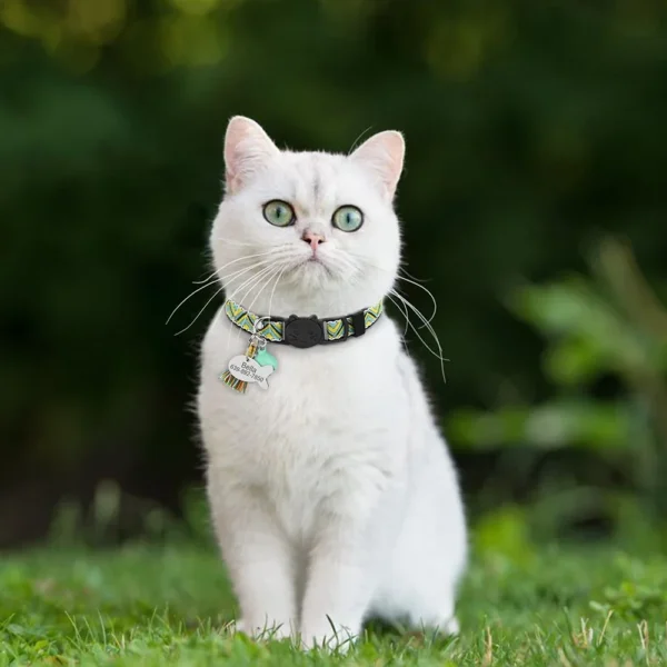 Breakaway Cat Collars – Personalized Safety Collar with ID Tag & Bell - Image 5
