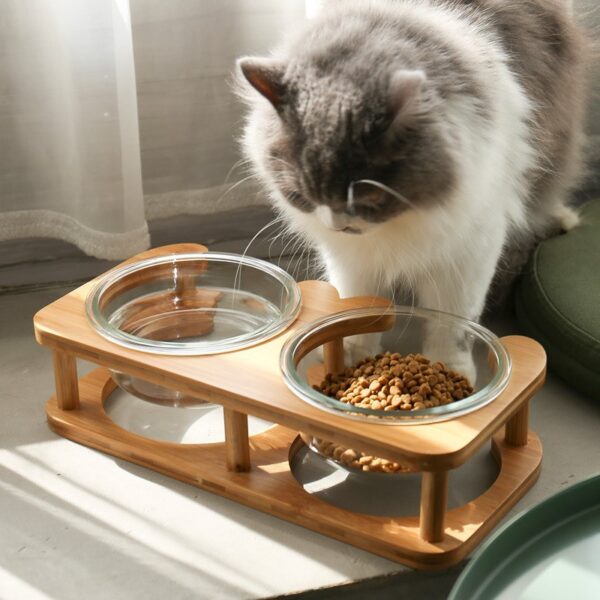 Glass Cat Bowl – Elegant & Durable Food Dish for Cats - Image 3