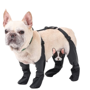 dog shoes