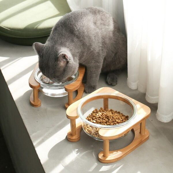 Glass Cat Bowl – Elegant & Durable Food Dish for Cats - Image 4
