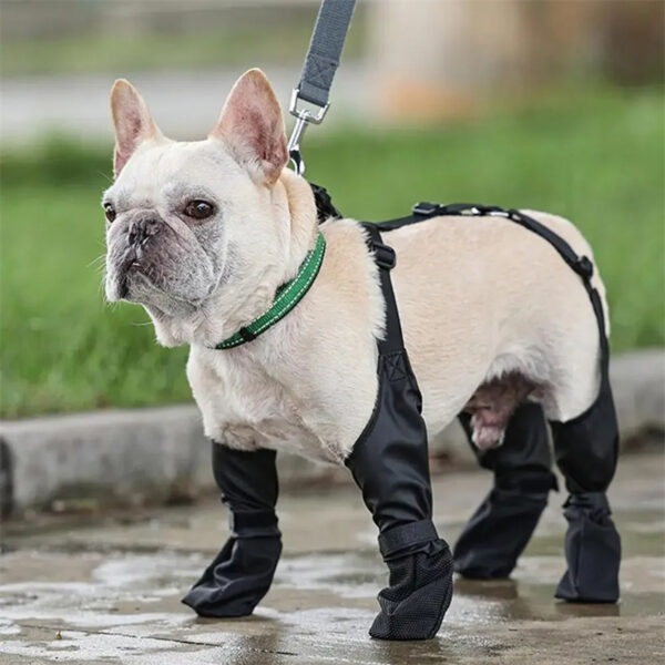 Waterproof Dog Shoes – Adjustable Non-Slip Boots for Outdoor Paw Protection - Image 6