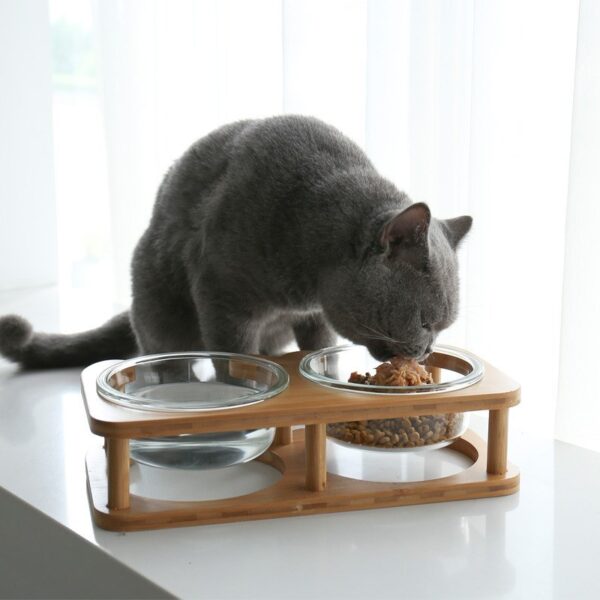 Glass Cat Bowl – Elegant & Durable Food Dish for Cats - Image 2