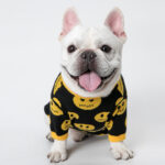Cozy Canine Wool Sweater