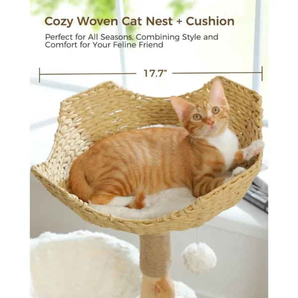 Luxury Cat Furniture – Modern Solid Wood Cat Tree Tower - Image 4