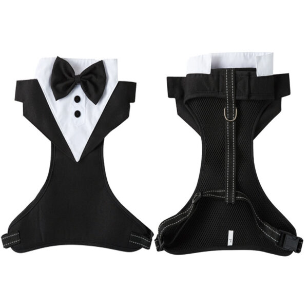 Pet Harness & Leash Set – Anti-Break Loose Design - Image 5