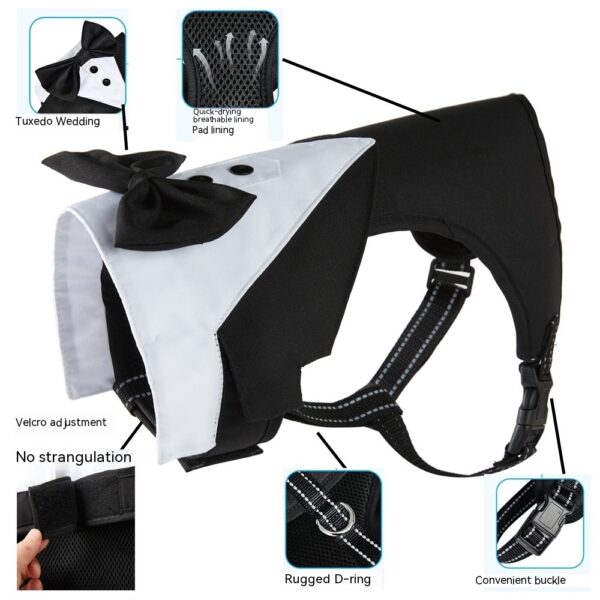 Pet Harness & Leash Set – Anti-Break Loose Design - Image 7