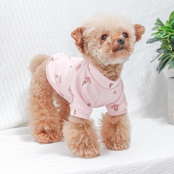 Autumn & Winter Pet Clothes for Small Dogs - Image 3