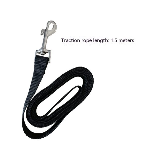 Pet Harness & Leash Set – Anti-Break Loose Design - Image 6