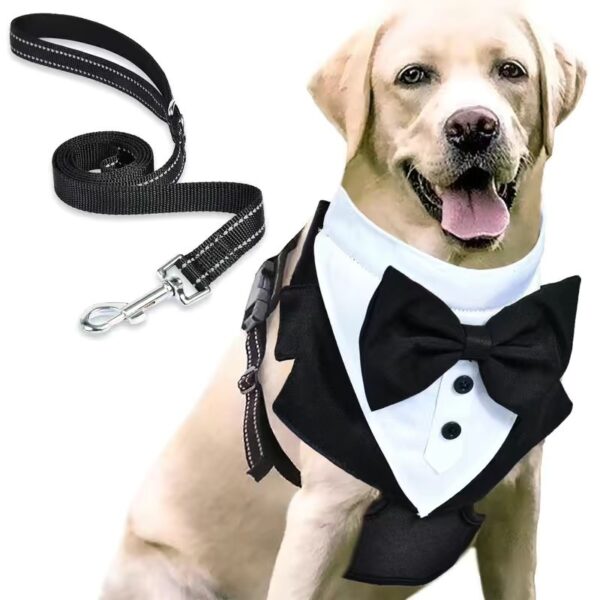 Pet Harness & Leash Set – Anti-Break Loose Design - Image 4