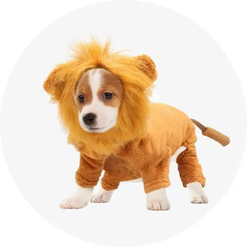 Dog Costumes