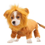 Lion Mane Dog Costume – Cosplay Pet Outfit