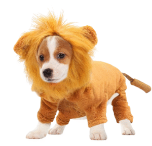 Lion Mane Dog Costume – Cosplay Pet Outfit