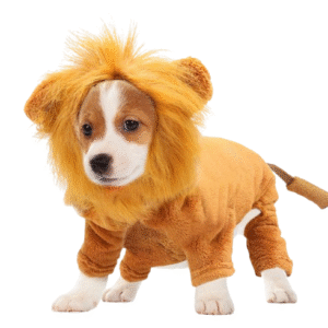 Lion Mane Dog Costume – Cosplay Pet Outfit