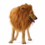 Lion Mane Wig Costume for Dogs & Cats