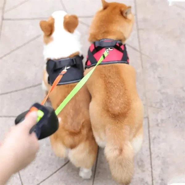 Tangle-Free Dual Dog Leash - Image 2
