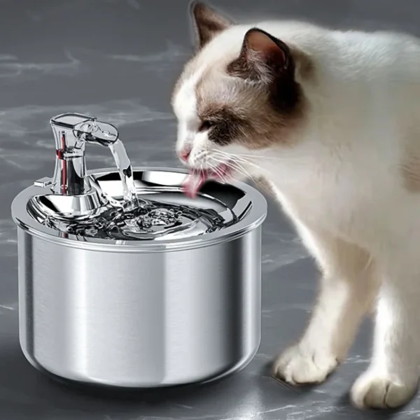 2L Stainless Steel Automatic Pet Water Fountain with Optional Sensor & Heater - Image 2